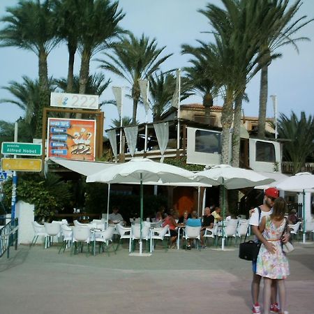 Apartmán La Rosaleda Torrevieja Exteriér fotografie